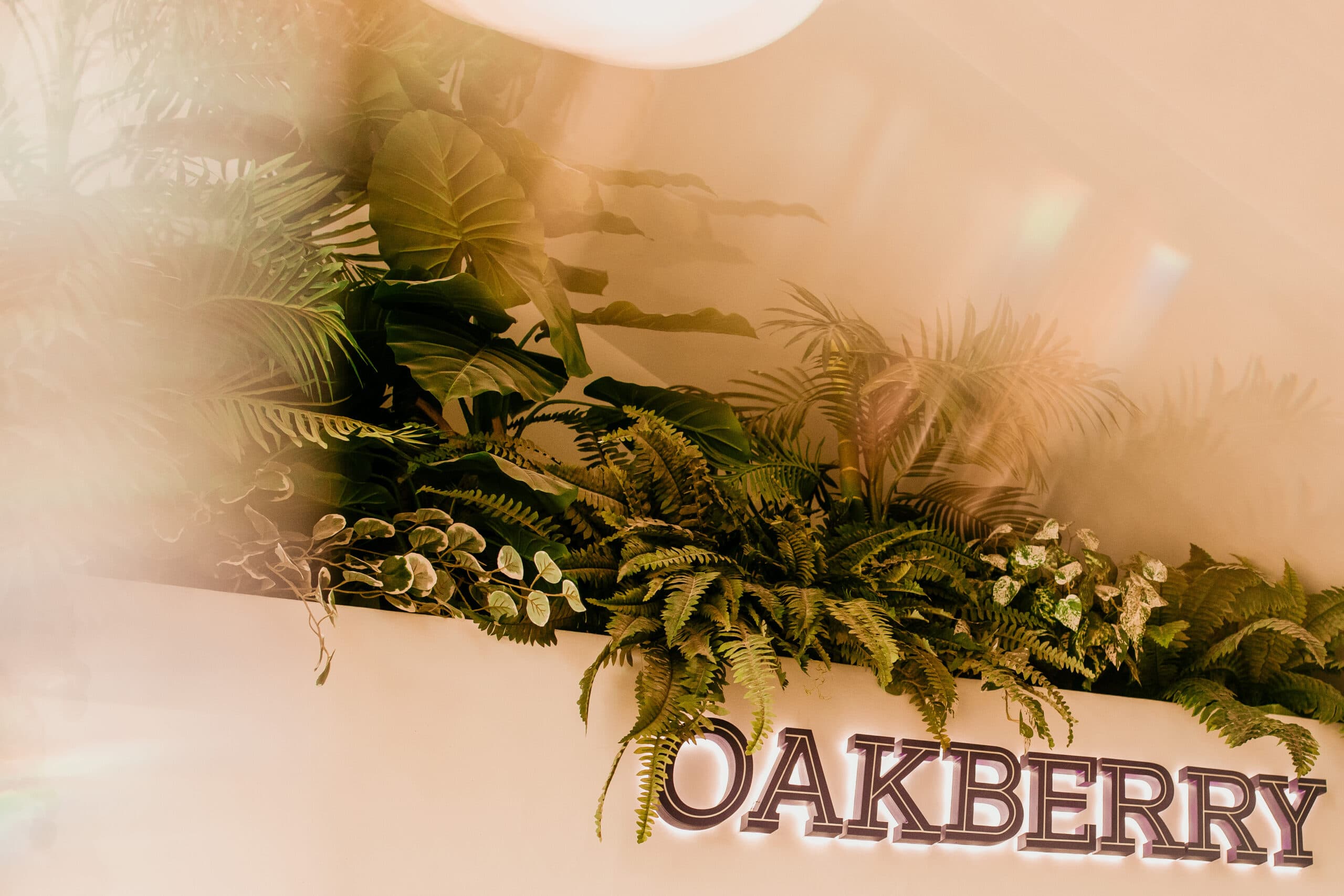 An OAKBERRY sign with plants on it